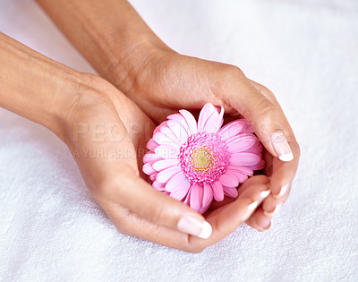 Buy stock photo Beauty, flower and spa with hands of woman for skincare, wellness and natural cosmetics. Spring, peace and floral with girl holding fresh daisy in salon for treatment, blossom and self care 