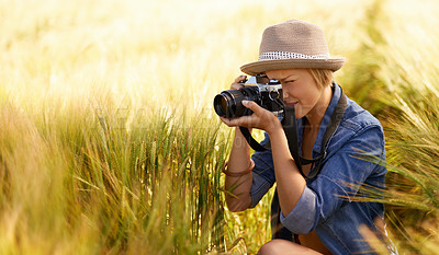 Buy stock photo Woman, camera and photography in grass with travel, vacation and holiday with wheat field and plants. Nature, photographer and outdoor with blog and countryside with photo for adventure and journey