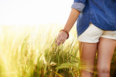 Buy stock photo Woman, hand and touch outdoor in wheat field, spring and relax in sustainable nature. Female person, back and travel to meadow on summer holiday or vacation, environment and trip to countryside