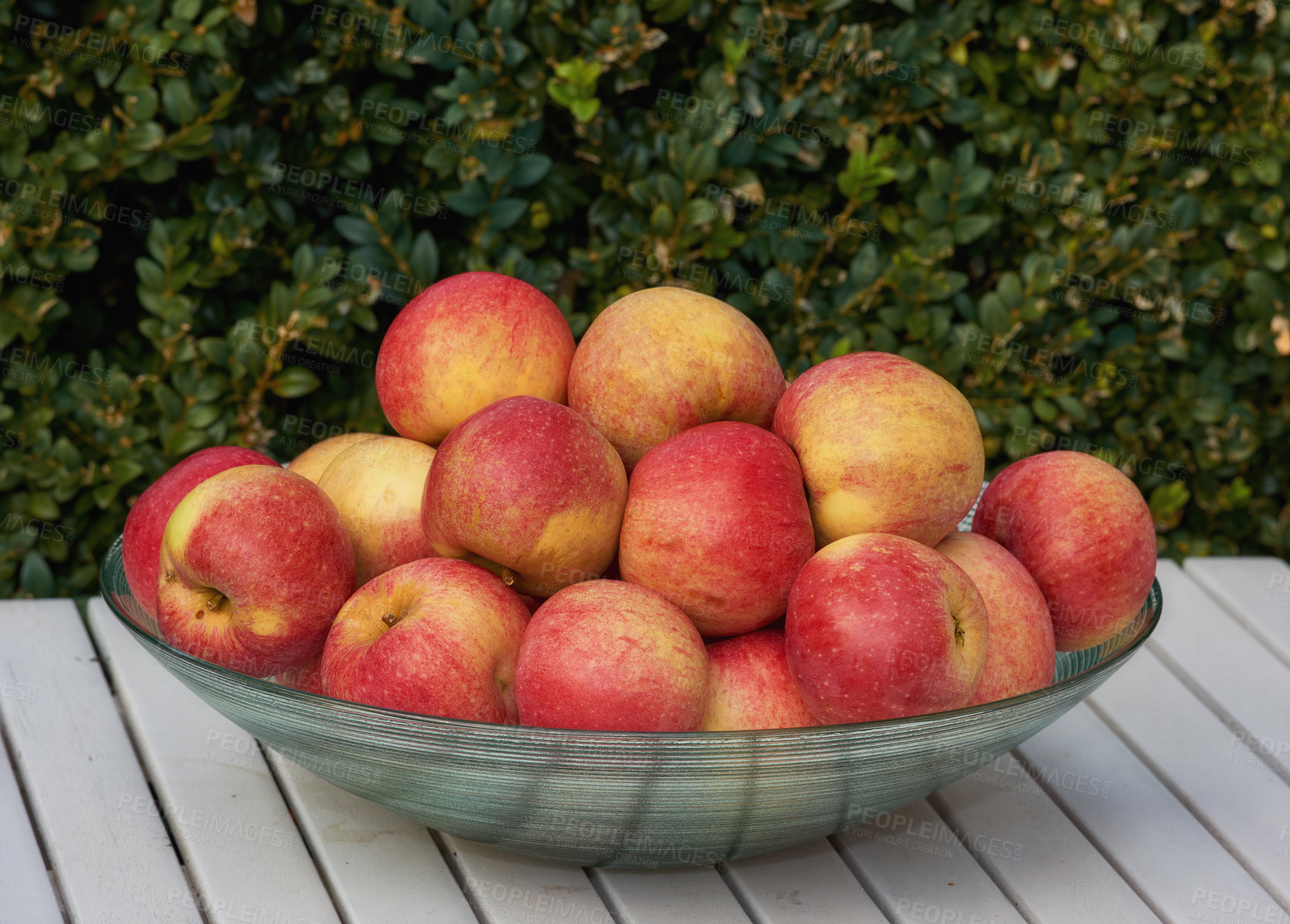 Buy stock photo Red apples in a bowl, outdoor and nutrition with protein, healthy snack and treat with diet plan and harvest. Organic, fruit and vitamins with nature, picnic table and produce with fiber and wellness