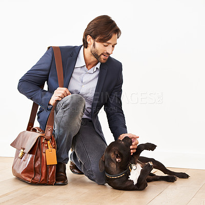Buy stock photo A handsome businessman greeting his playful dog with a belly rub