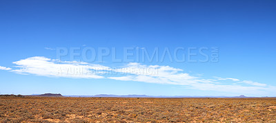 Buy stock photo Landscape of dry land and sparse grass in kalahari region of South Africa on a blue cloudy sky with copy space. Thorny bushes in a wild safari highland. Scant vegetation on red Savanna desert