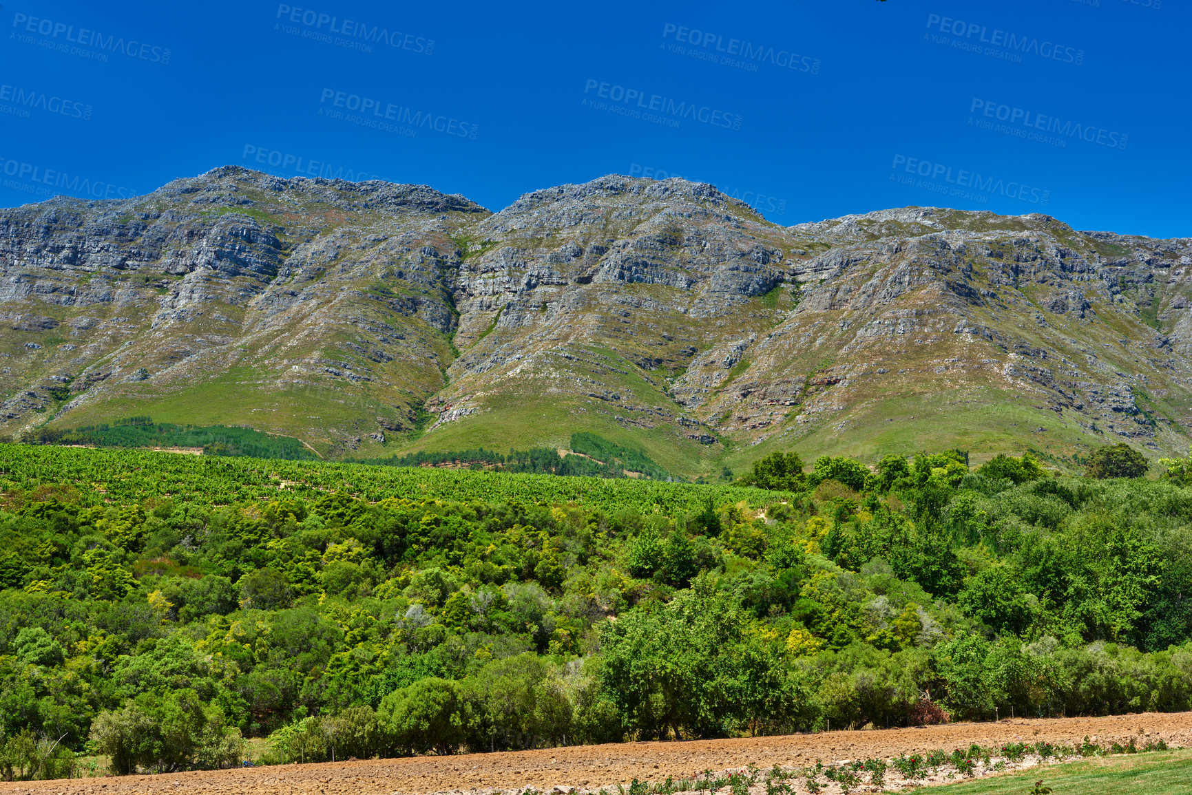 Buy stock photo Mountain range with lush greenery near tilled farmland in the vineyards of Stellenbosch, South Africa. Vibrant green nature scene of bushes with a breathtaking bright blue sky in rural green landscape