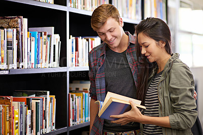 Buy stock photo Shot of a young couple studying together in the library