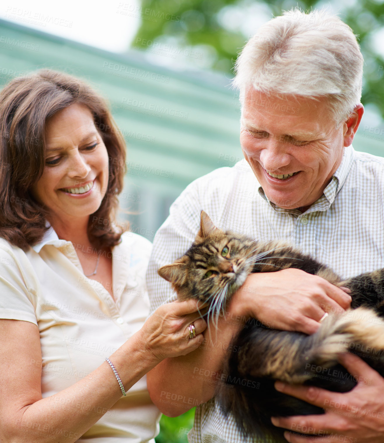Buy stock photo Senior couple, happy and cat in garden for family, care and bonding together in retirement. Comfort, elderly and animal companion for affection, love and outdoor in a park for embrace, woman and play