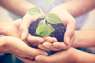 Buy stock photo Closeup, plants and hands of group, people and sustainability in support, hope and care for climate change. Teamwork, trust and growth of leaf, soil and green future, collaboration and accountability