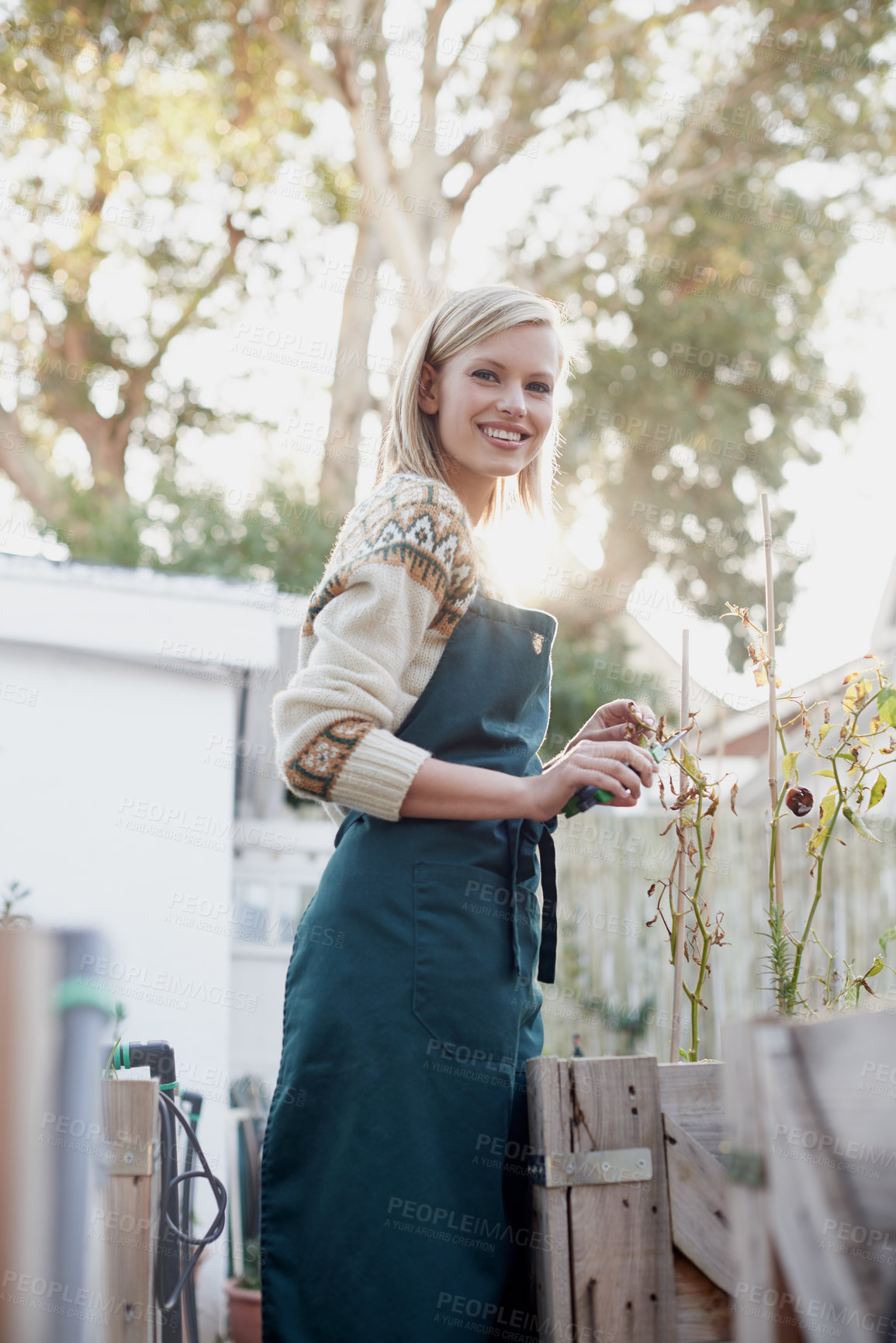 Buy stock photo A young gardener outside in a nursery