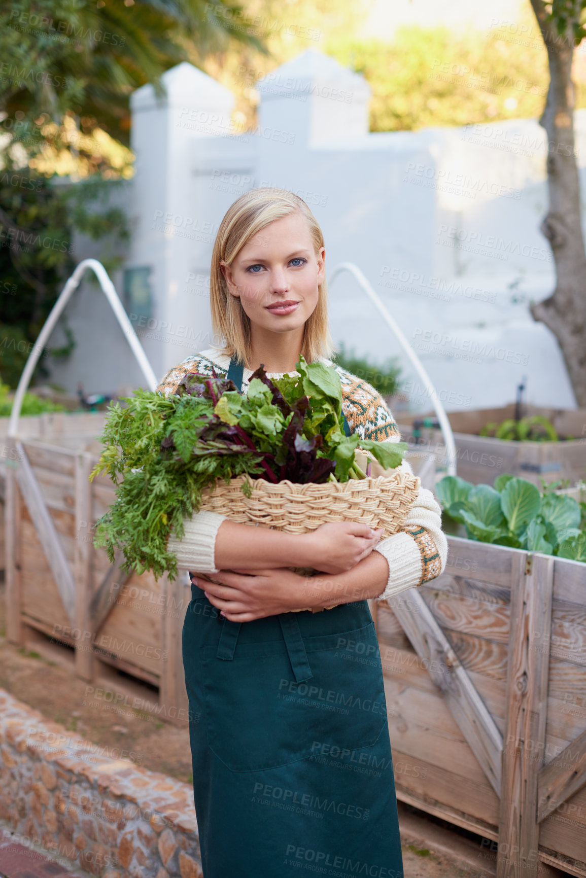 Buy stock photo Relax, woman and garden vegetable with portrait in backyard with planting, sustainability and calm. Green, eco friendly and outdoor with healthy plants for growing with a gardener with soil harvest