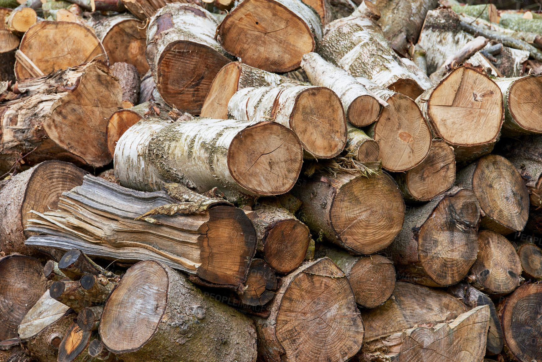 Buy stock photo These pieces of firewood are destined for the fireplace where they will give off a different kind of beauty in the form of heat and light.