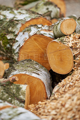 Buy stock photo These pieces of firewood are destined for the fireplace where they will give off a different kind of beauty in the form of heat and light.