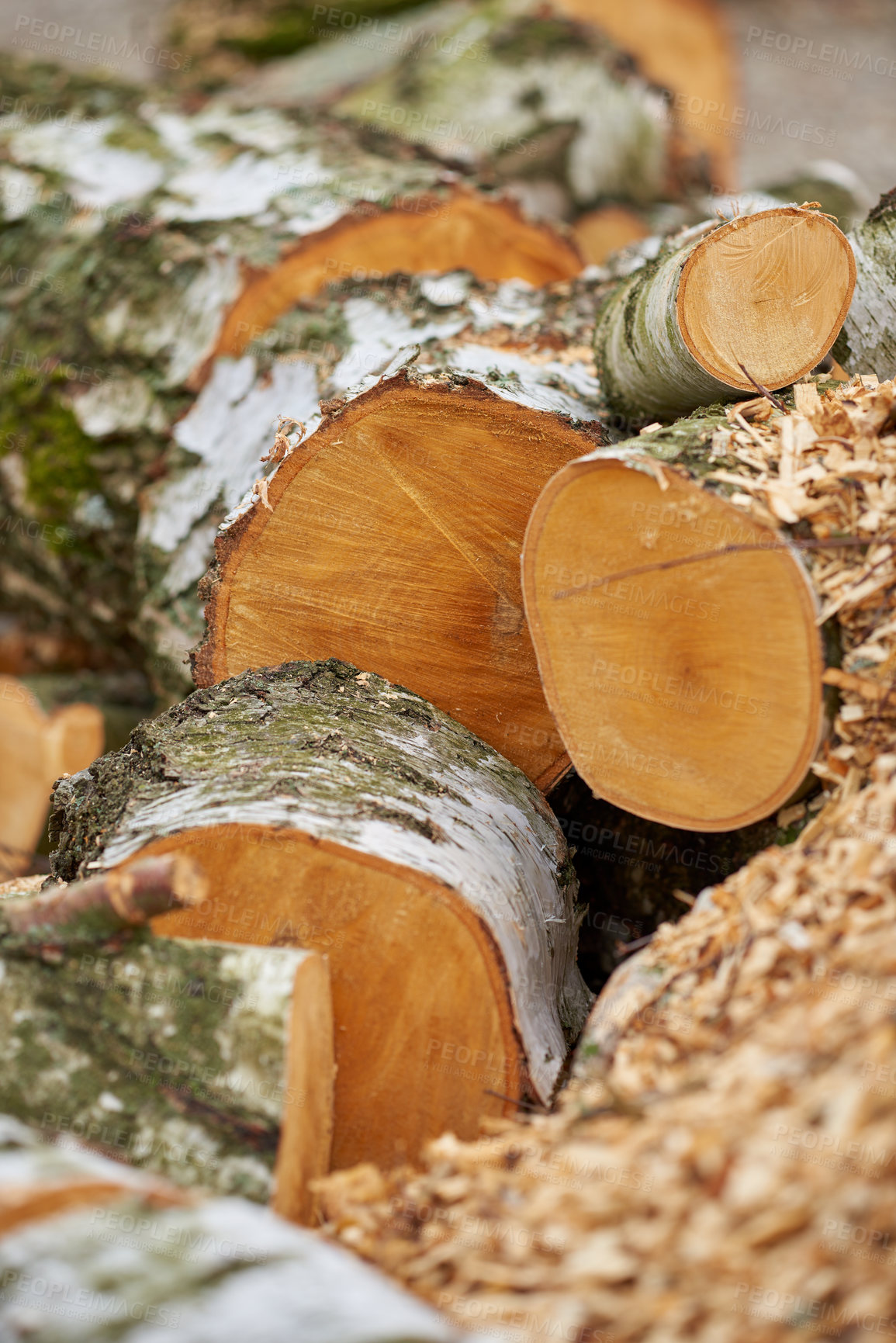 Buy stock photo These pieces of firewood are destined for the fireplace where they will give off a different kind of beauty in the form of heat and light.