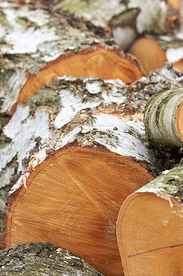 Buy stock photo These pieces of firewood are destined for the fireplace where they will give off a different kind of beauty in the form of heat and light.