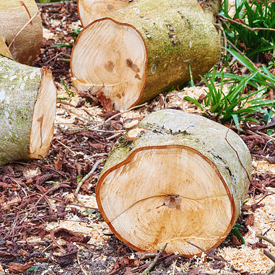 Buy stock photo Wood, tree trunk and timber on ground, ring and outdoor for fuel, heat and material for construction in forest. Pile, nature and carpentry supplier with pattern, textures and sustainable industry