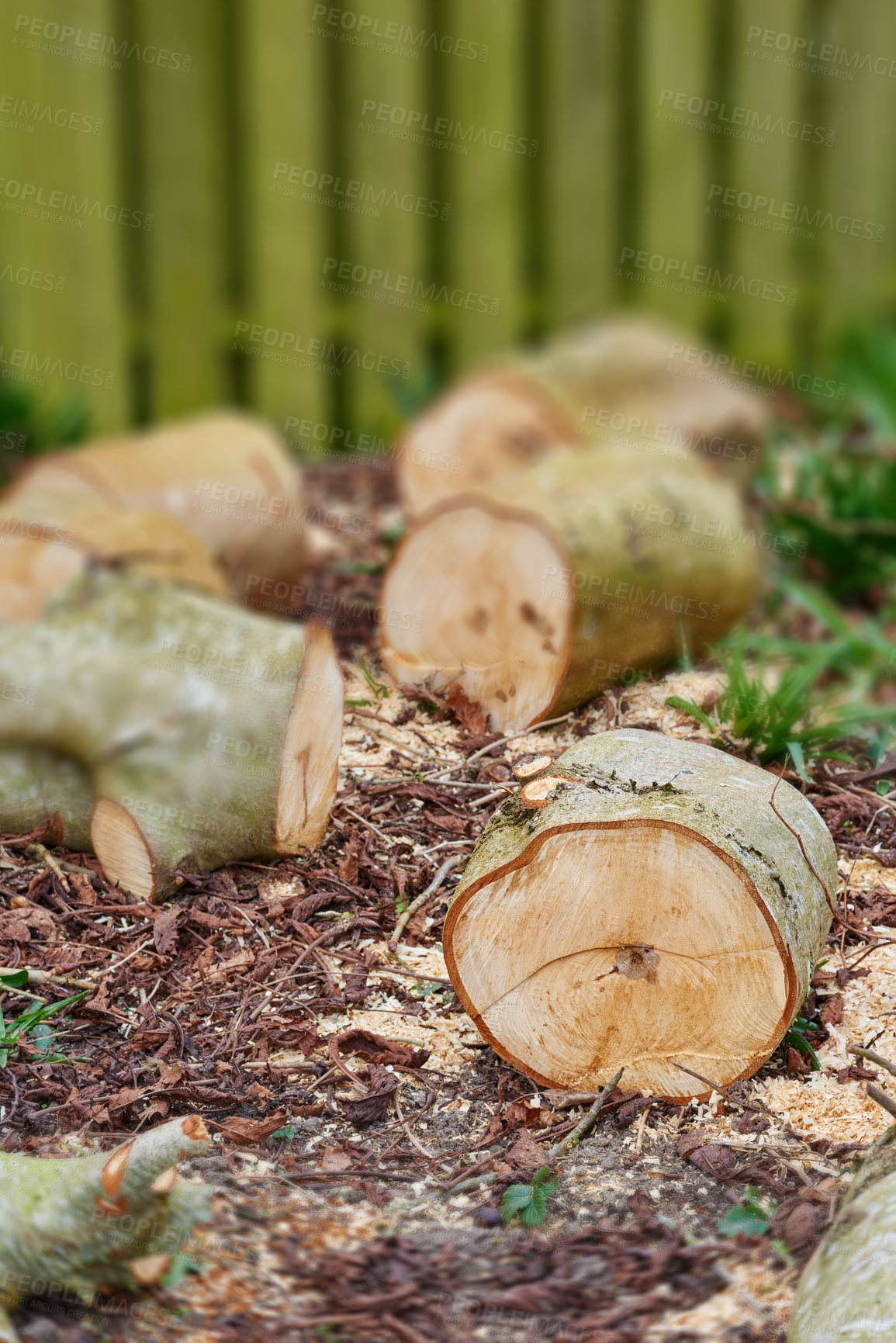 Buy stock photo Wood, tree trunk and outdoor for timber, ground and ring for fuel, heat and material for construction in forest. Pile, nature and carpentry supplier with pattern, textures and sustainable industry