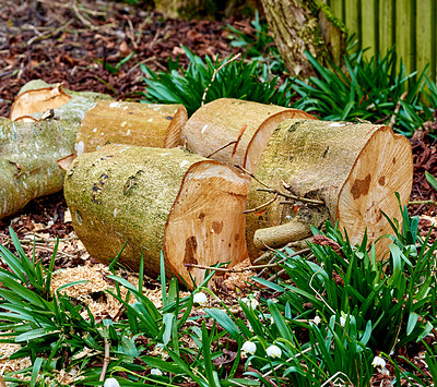 Buy stock photo Wood, tree stump and timber on ground, pile and outdoor for fuel, heat and material for construction in forest. Nature, field and carpentry supplier with pattern, textures and sustainable industry