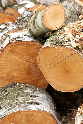 Buy stock photo Wood, pile and outdoor with timber in environment for fuel, heat and material for construction in forest. Stack, tree trunk and carpentry supplier with pattern, textures or sustainability in industry