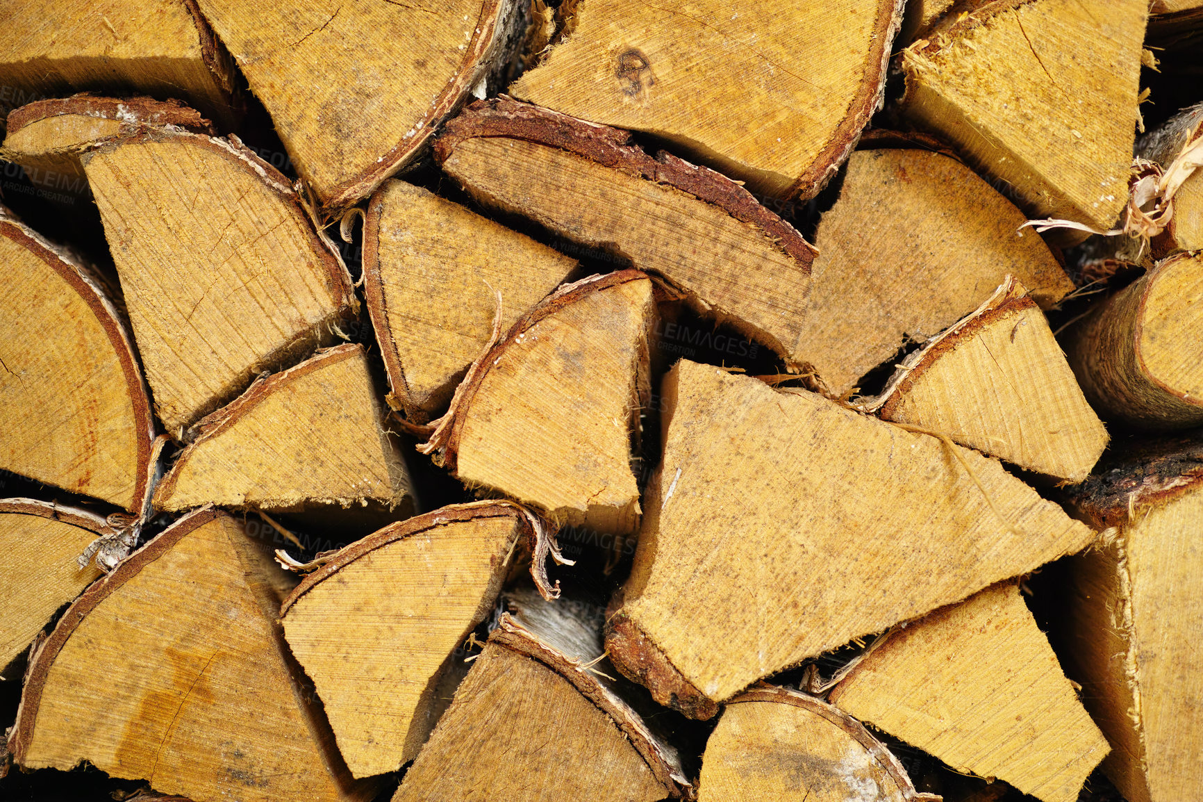 Buy stock photo Firewood, background and nature pattern or environment with tree stump grain, texture or timber. Top view, deforestation and countryside woods or recycle product as lumber pile, branch or ecology