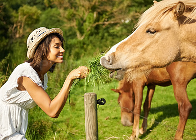 Buy stock photo Woman, horse and outdoor for feeding grass with smile, care or love for pet at farm, countryside or spring. Girl, equine animal and happy with food for health, nutrition and diet in meadow for summer