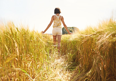 Buy stock photo Back view, walking or woman in a field for freedom in the countryside in spring to relax on break. Nature, wellness or female person in garden or farm for fresh air on holiday vacation or travel