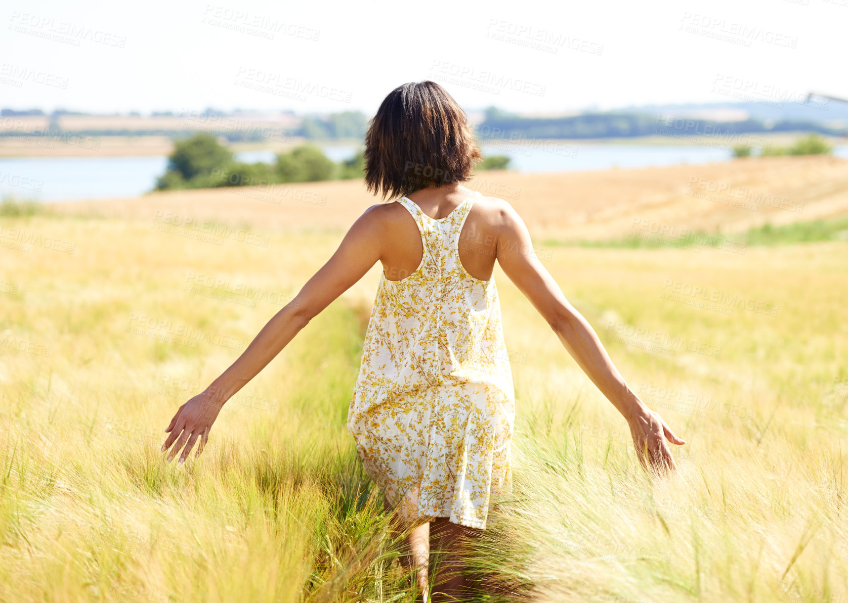 Buy stock photo Back, freedom and woman at field in the countryside outdoor in summer. Rear view, person in nature and open arms at farm, grass or meadow and enjoy fresh air on vacation, holiday and travel to relax