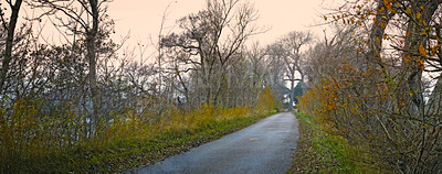 Buy stock photo Forest, road and environment in autumn morning for conservation, sustainability or biodiversity. Empty, Scenic landscape and trees with dirt path for foliage, exploration or evergreen in nature