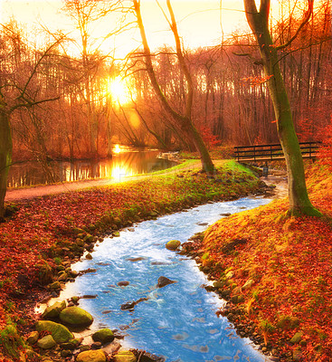 Buy stock photo Autumn, river and nature sunrise in woodlands, environment and outdoor forest with orange foliage in Amsterdam. Travel, season and fall landscape in countryside, ecosystem and growth scenery