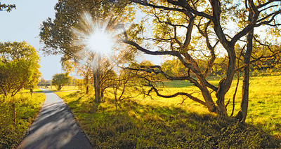 Buy stock photo Road, nature and countryside in autumn sunshine for exploration travel, journey or adventure. Empty, scenic landscape and trees with field for foliage path, environment or conservation in Russia