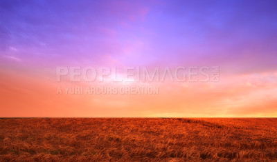 Buy stock photo A field on a farm