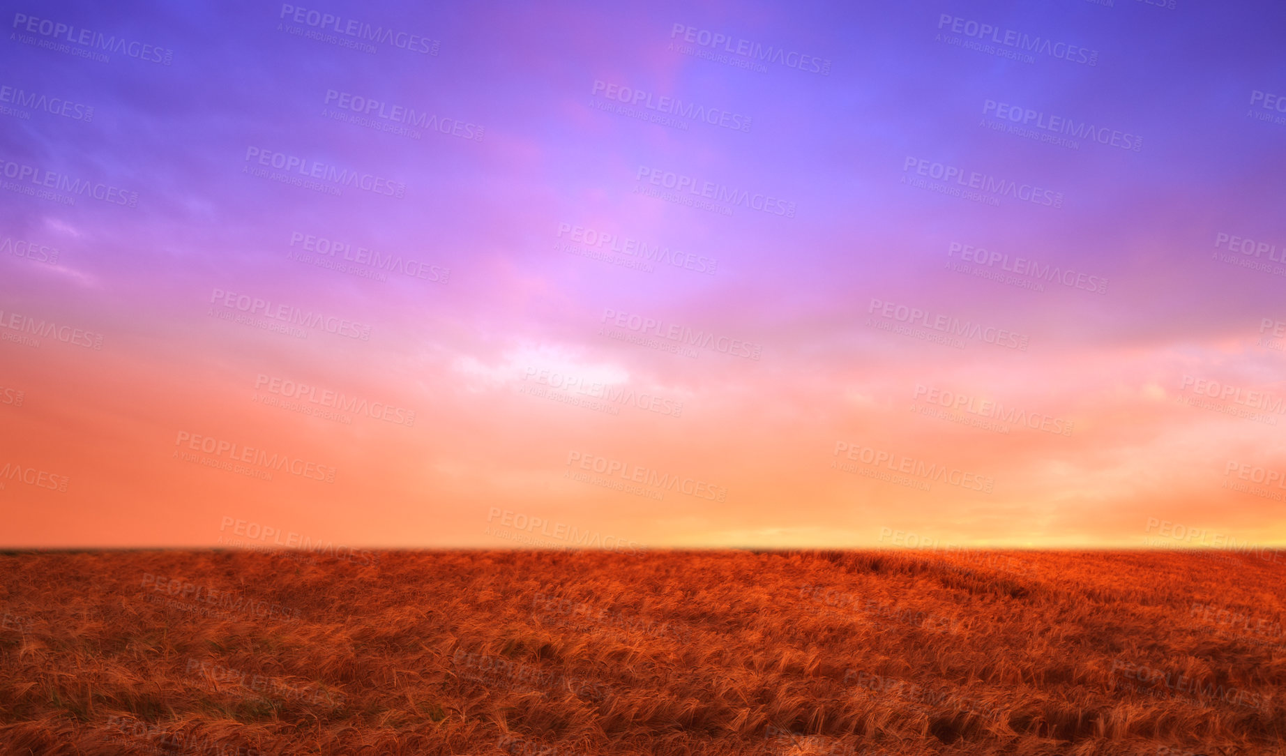 Buy stock photo A field on a farm