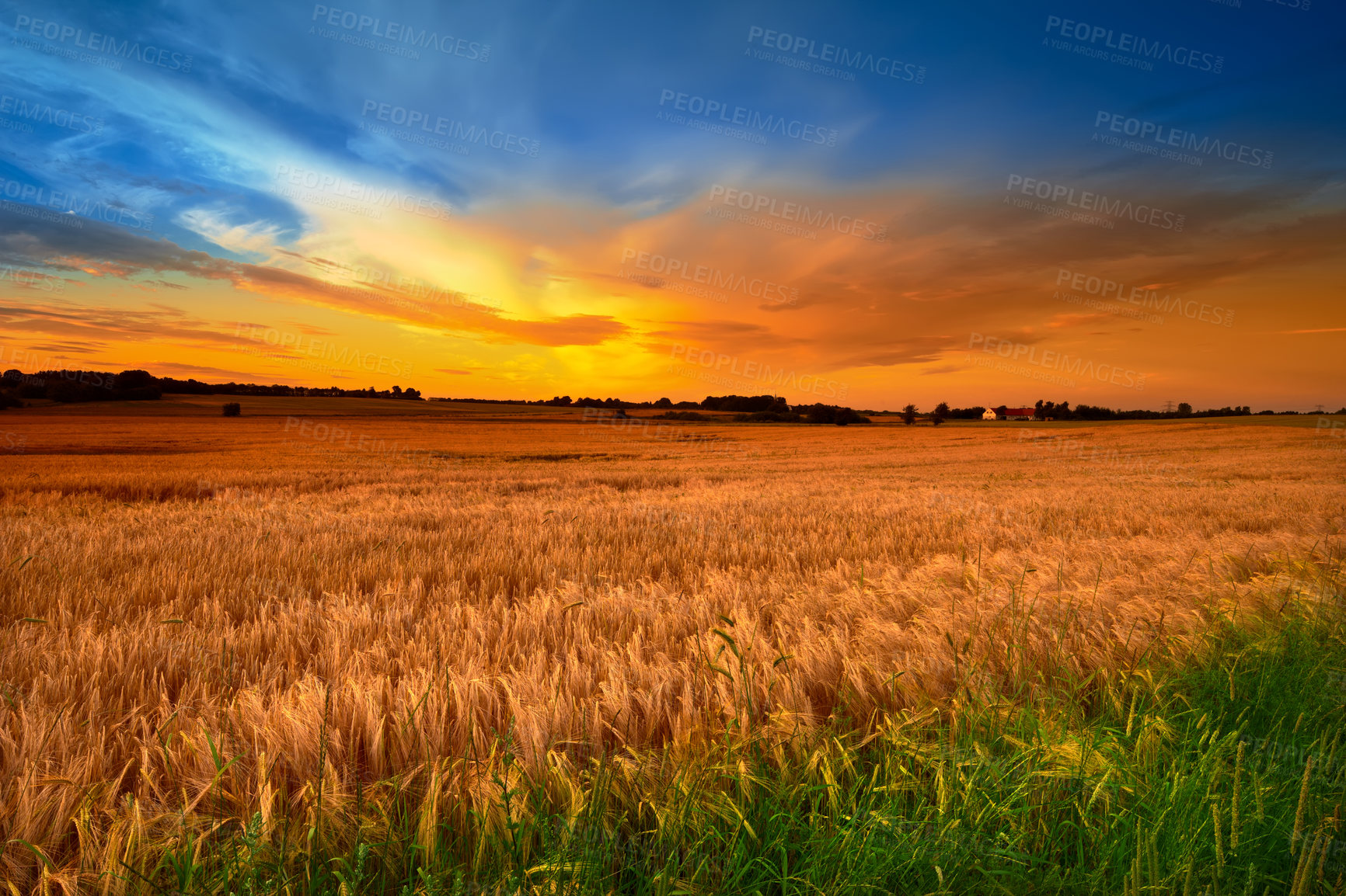 Buy stock photo A field on a farm