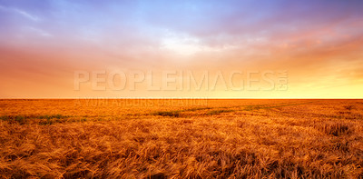 Buy stock photo A field on a farm