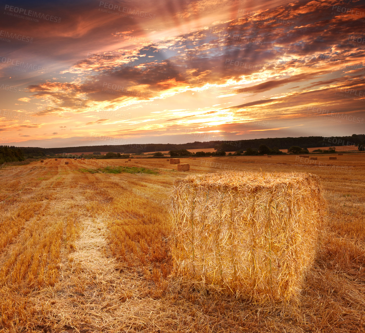 Buy stock photo A field on a farm