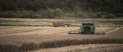 Buy stock photo Field, grass and harvest machine at a farm for corn, collection and agriculture, ecology and grain farming. Energy, supply chain and tractor in the countryside for organic, sustainability or startup