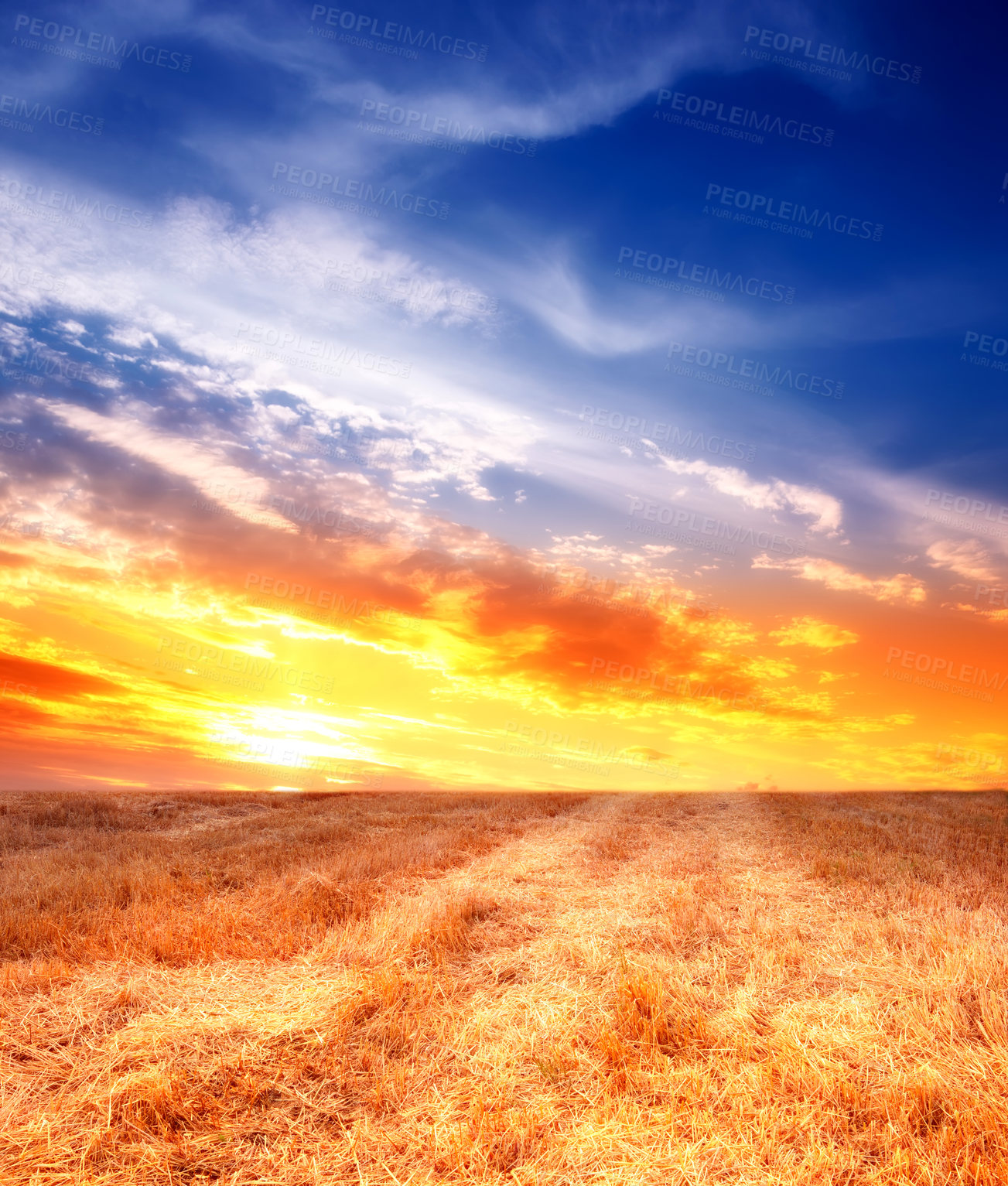 Buy stock photo A field on a farm