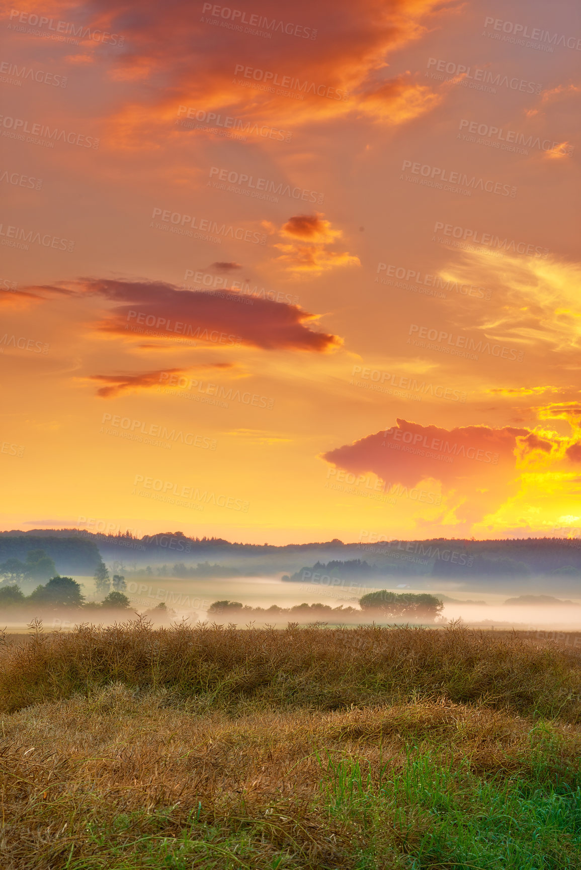 Buy stock photo Farmland, landscape and sunrise for agriculture in nature with clouds, travel location and scenery in countryside. Meadow, environment and field with mockup, ecology and organic growth in Denmark