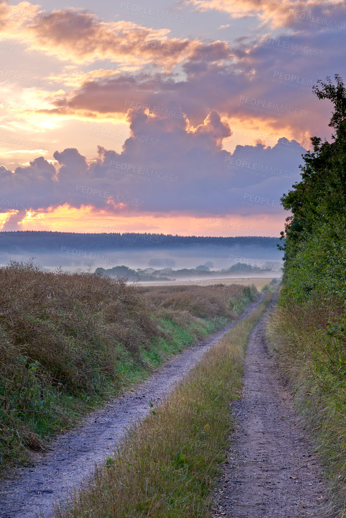 Buy stock photo Field, road and peace in outdoor nature, cloudy sky and travel in countryside for calm. Plants, rural and street in landscape for leaves, growth and ecosystem for sustainable environment on holiday