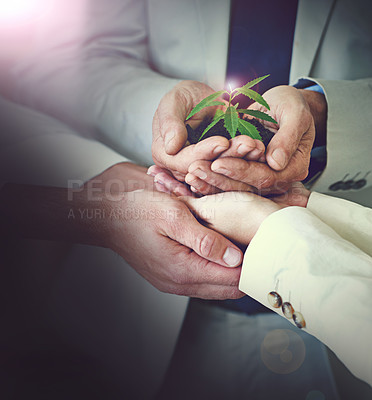 Buy stock photo Entrepreneur, plant and growth for development, future and sustainability for collaboration. Employees, soil and closeup for green business, investment and recycling for enterprise and nature