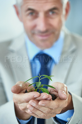 Buy stock photo Portrait, business and man with soil, plants and finance with growth and agriculture with sustainability. Face, mature person or entrepreneur with accountant or corporate with startup or eco friendly