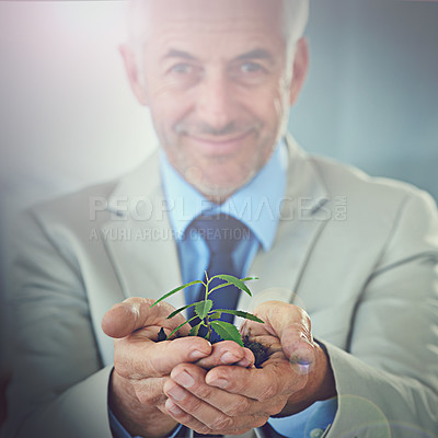 Buy stock photo Plants, business and old man with portrait, hold soil and growth with accountability and agriculture. Person, trader or employee with leaves or accountant with sustainability or stock market increase