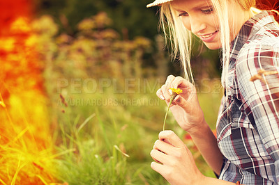 Buy stock photo Lens flare, meadow and woman picking flower in field for freedom, wellness and fresh air outdoors. Nature, summer and hipster female person in countryside for relaxing with plants and sustainability