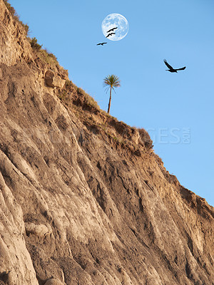 Buy stock photo Morning, blue sky and moon with tree in nature with hill for sunrise, environment or twilight. Empty, low angle and dawn with birds for summer weather, outdoor peace or natural scenery in California