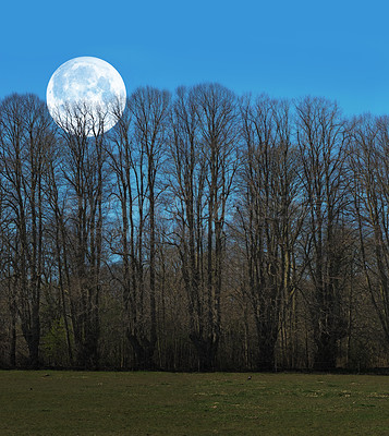 Buy stock photo A photo of the moon early morning over landscape with trees