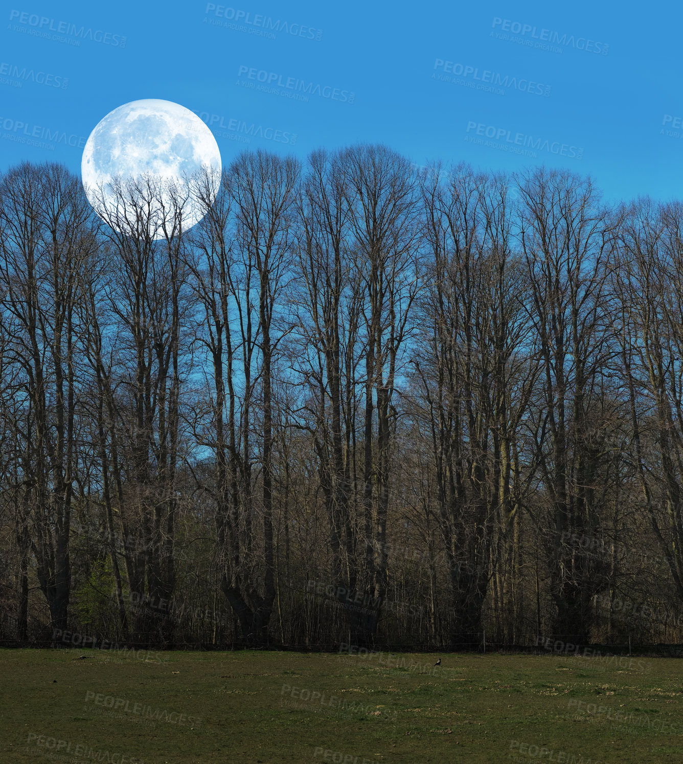 Buy stock photo A photo of the moon early morning over landscape with trees