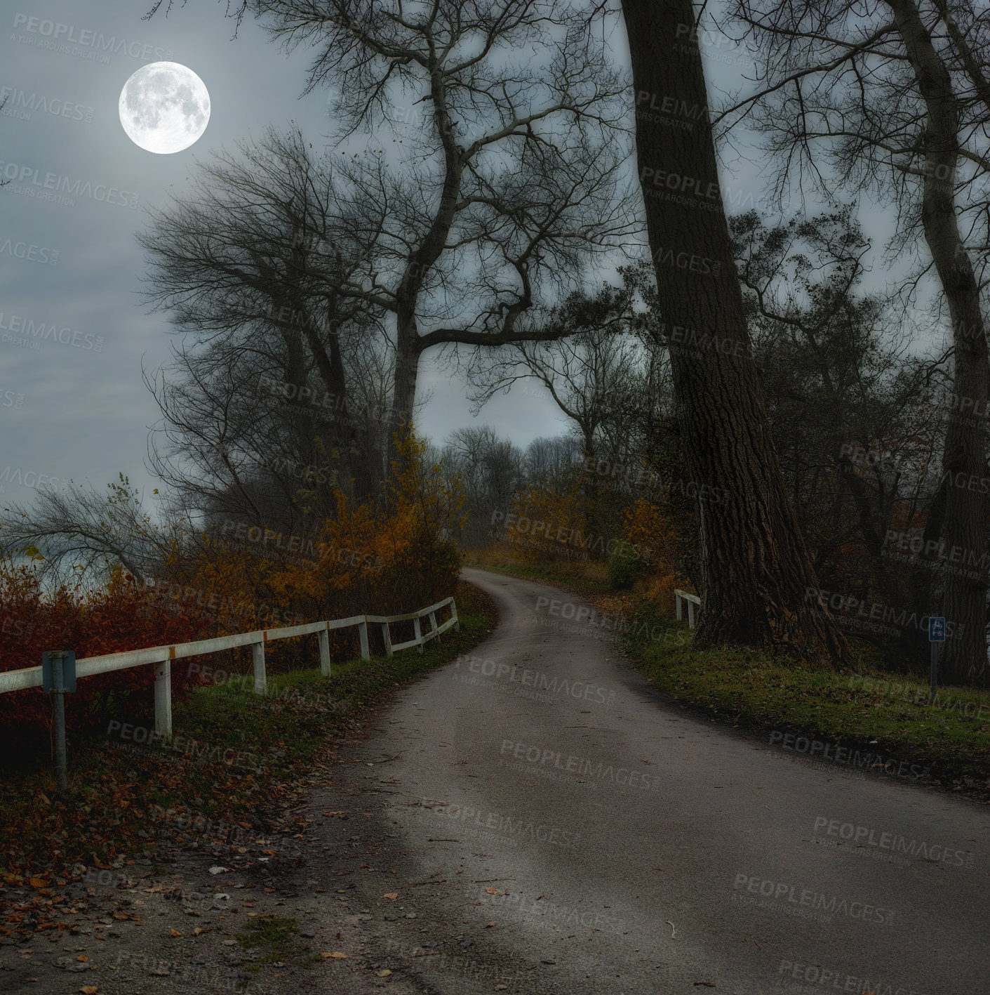 Buy stock photo Road, forest and moon with tree in countryside for sunrise, environment or twilight. Empty, nature and night with outdoor for sustainability, evening journey or travel landscape in Switzerland