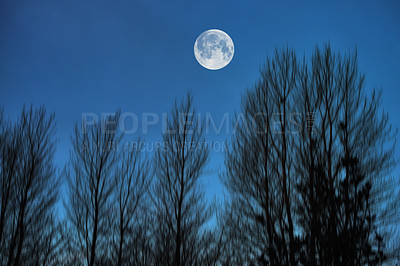 Buy stock photo Sky, night and trees with moon over forest for halloween, horror and fantasy landscape. Silhouette, shadow and scary with moonlight woods in nature for danger, haunted and spooky journey