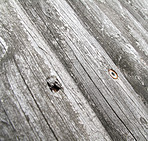 Weathered wood