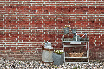 Buy stock photo Brick wall background, small garden and tools with plants, natural and texture in New York city. Empty, old fashion and quaint with wallpaper, decoration or abstract with ecology or vintage equipment