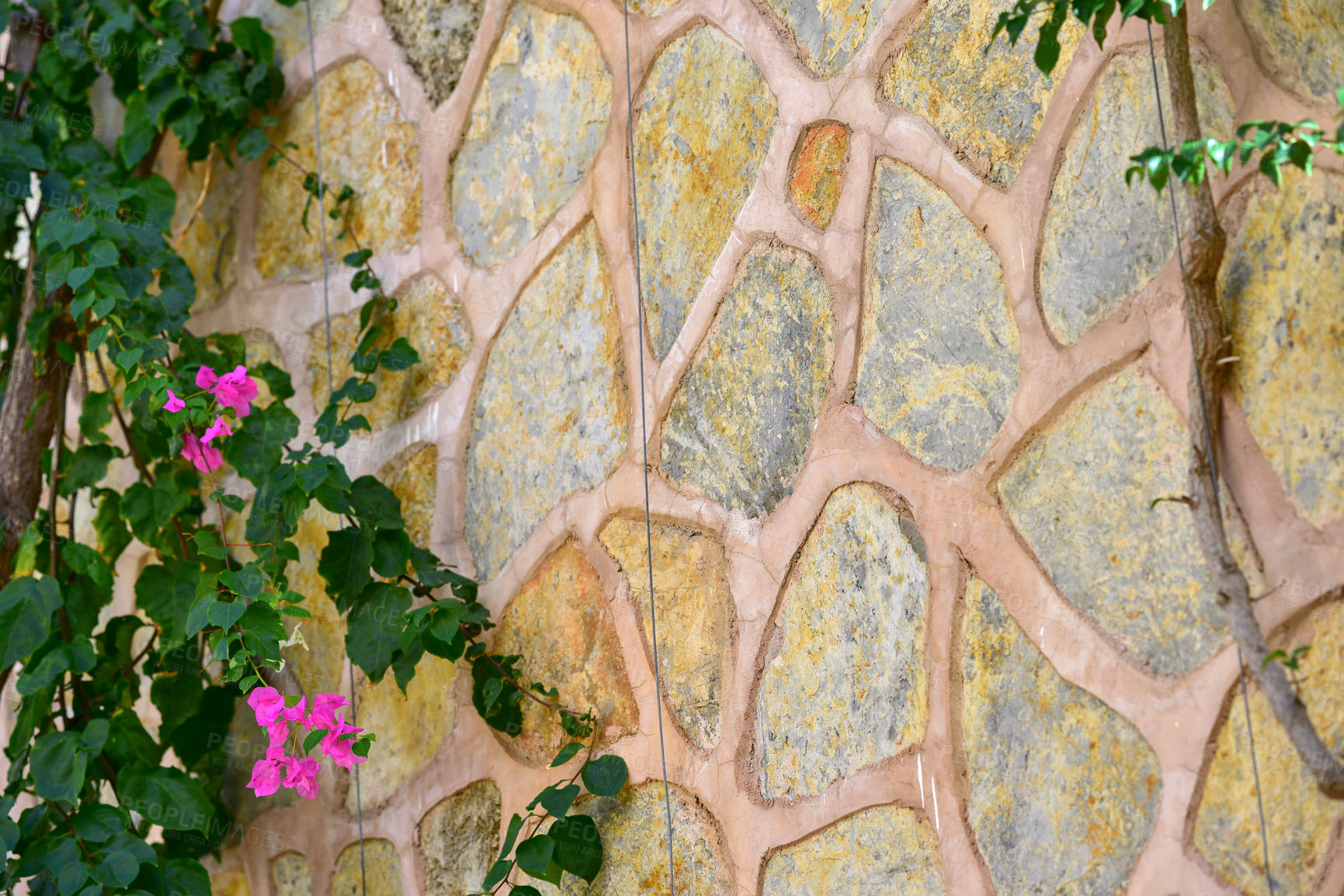 Buy stock photo Stone wall, bougainvillea flower and nature wallpaper, abstract landscape with natural garden. Floral plant, mortar and calm peace in outdoor for spring, building with climbing tree or bush in Mexico