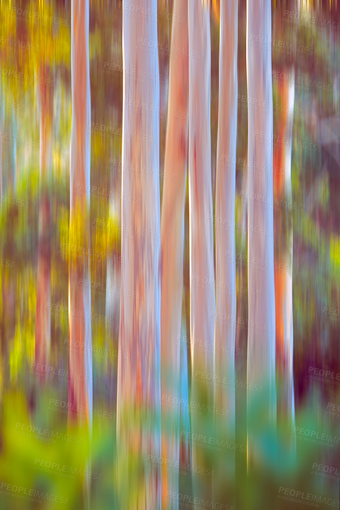 Buy stock photo Nature, motion blur and abstract of trees in forest for eco friendly, environment or background. Earth, leaves and wallpaper with plants for sustainability, foliage or ecology in woods at countryside