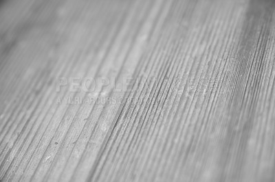 Buy stock photo Interior, floorboards and wood as grey background for home design, laminate and decor. Hardwood, planks and oak for house flooring with building material or tile and pine for surface and ground